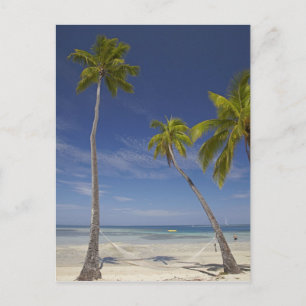 Hängematte und Palmen, Plantation Island Resort Postkarte