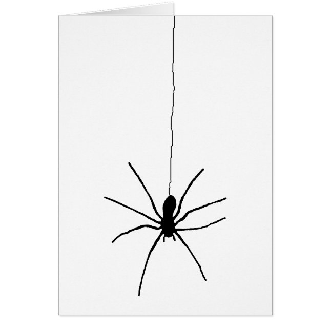 Hängende Spinne (Vorne)