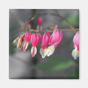 Hängender Herz-Magnet Magnet