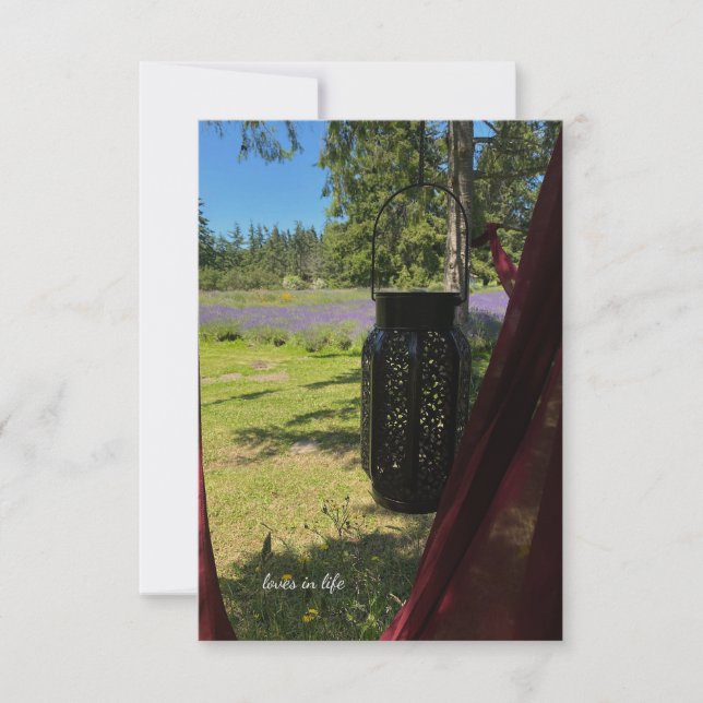 Hanggarten Lattern & Lavenderfeld Mitteilungskarte (Vorderseite)