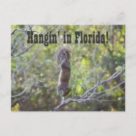 Hangin' in Florida Postkarte