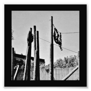 Hangin' Loose Fotodruck