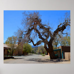 Hanging Tree, Cerrillos,  New Mexico Poster