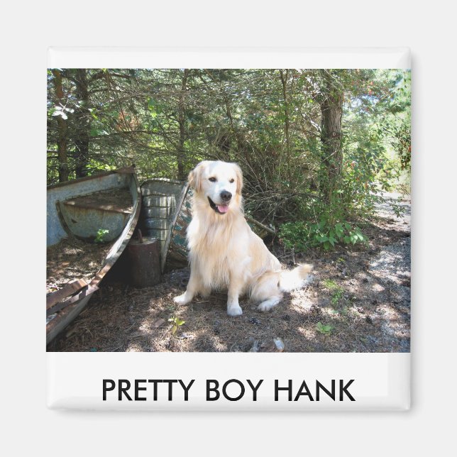 Hank 8 10 2008 014.1, HÜBSCHER BOY-HANK Magnet (Vorne)