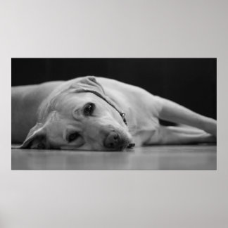 Hank 'ONE' Leinwand Poster