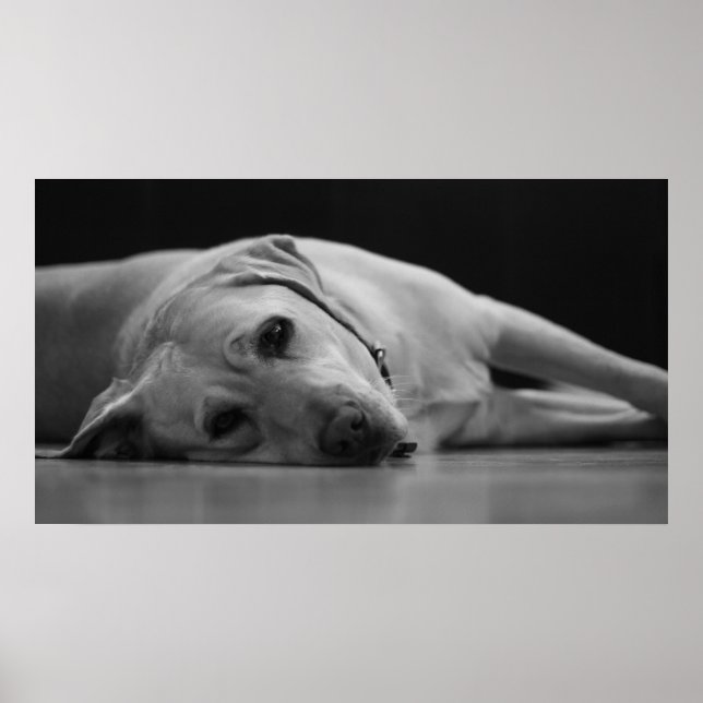 Hank 'ONE' Leinwand Poster (Vorne)