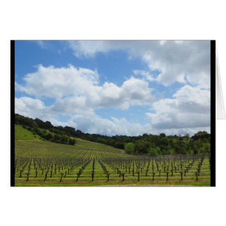 Hannah établissement vinicole en avril 2018