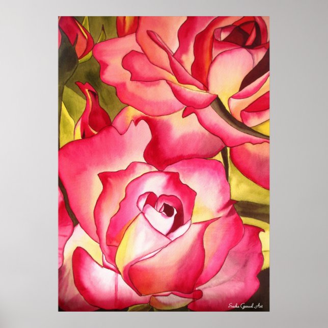 Hannah Gordon Rosa Aquarellkunst Poster (Vorne)