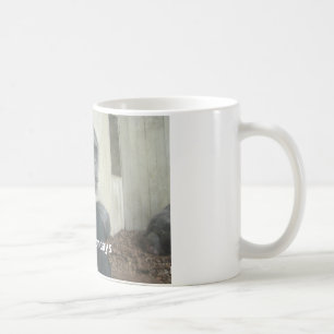 Hannover-Zoo (135), hasse ich Montage Kaffeetasse