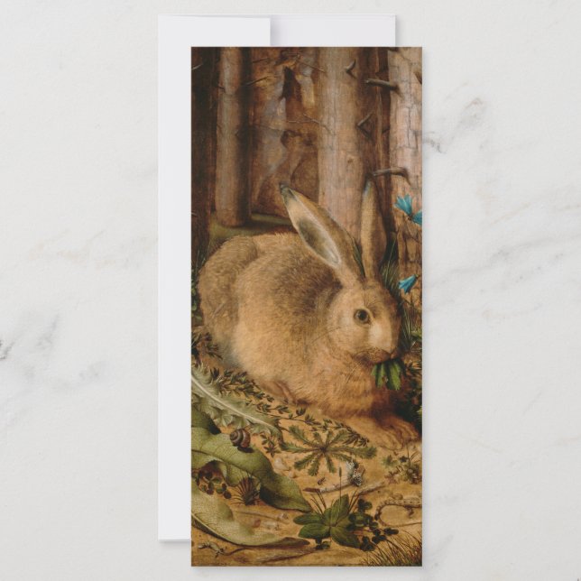 Hans Hoffmann ein Hase im Wald (Vorderseite)