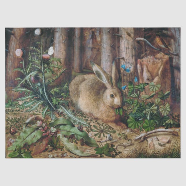 Hans Hoffmann | Ein Hase im Wald (1585) Seidenpapier (Vorderseite)