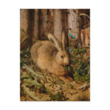 Hans Hoffmann ein Hase im Wald