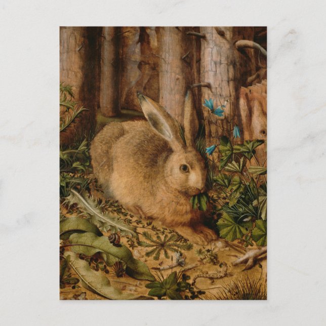 Hans Hoffmann ein Hase im Wald Postkarte (Vorderseite)