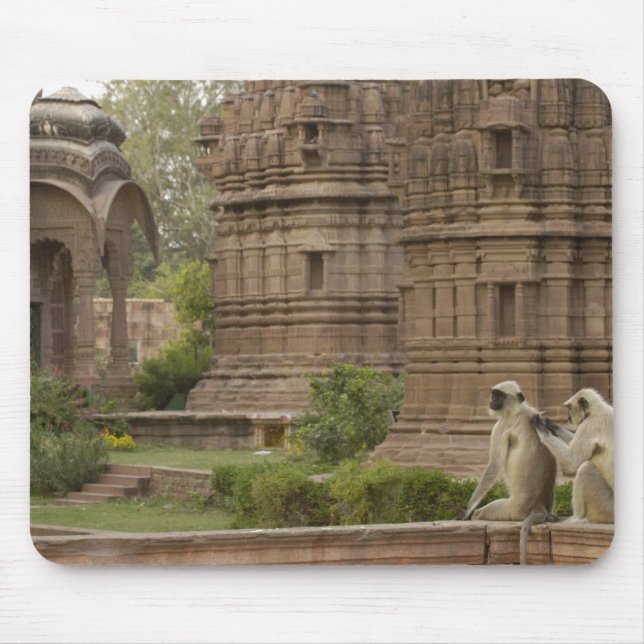 Hanuman-Languren oder Schwarzgesicht-, Gewöhnliche Mousepad (Vorne)