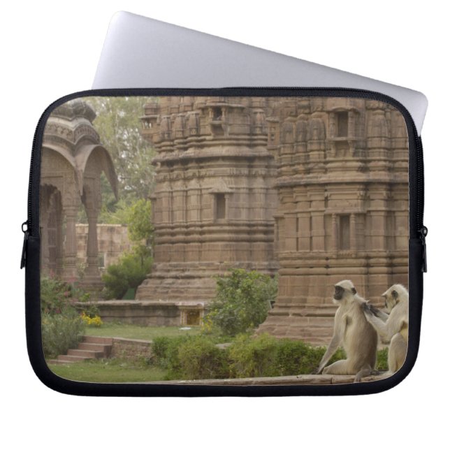 Hanuman-Langurs oder schwarz, gemein oder grau Laptopschutzhülle (Vorderseite)