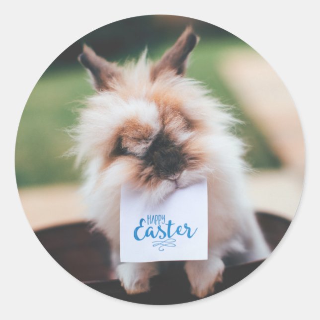 HAPPER EASTER ROUND STICKER KUSTOMIZABLE BUNNY (Vorderseite)