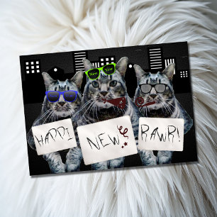 Happi New Rawr Kitty Trio