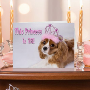 Happy 18th Birthday Cavalier King Charles Card