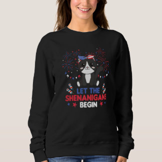 Happy 4th Cute Cat With Fireworks America Cat Sweatshirt