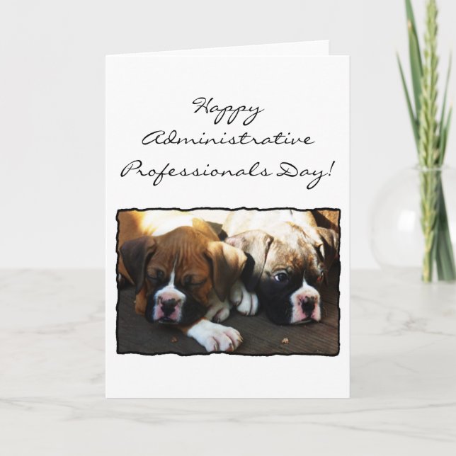 Happy Administrative Professionals Day Boxer Card Karte (Vorderseite)