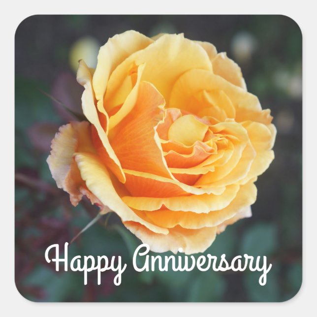Happy Anniversary About Face Rose #3 Stickers (Vorderseite)
