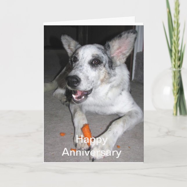 Happy Anniversary Carrot 'bout Karte (Vorderseite)