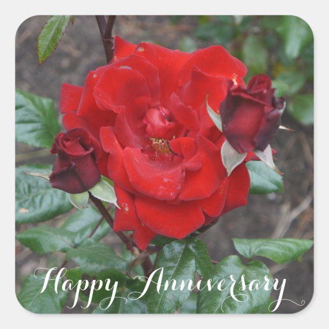 Happy Anniversary Crimson Bouquet #1 Stickers (Vorderseite)