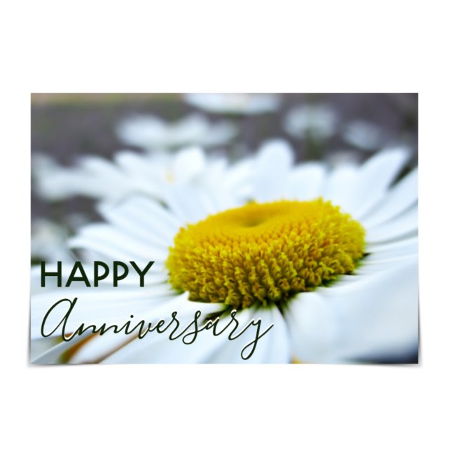 "Happy Anniversary" Daisies Card Karte (Von Creator hochgeladen)