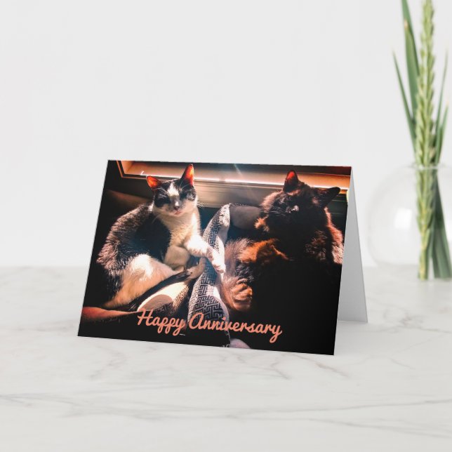 Happy Anniversary - Niedliche Katzen zusammen Karte (Vorderseite)