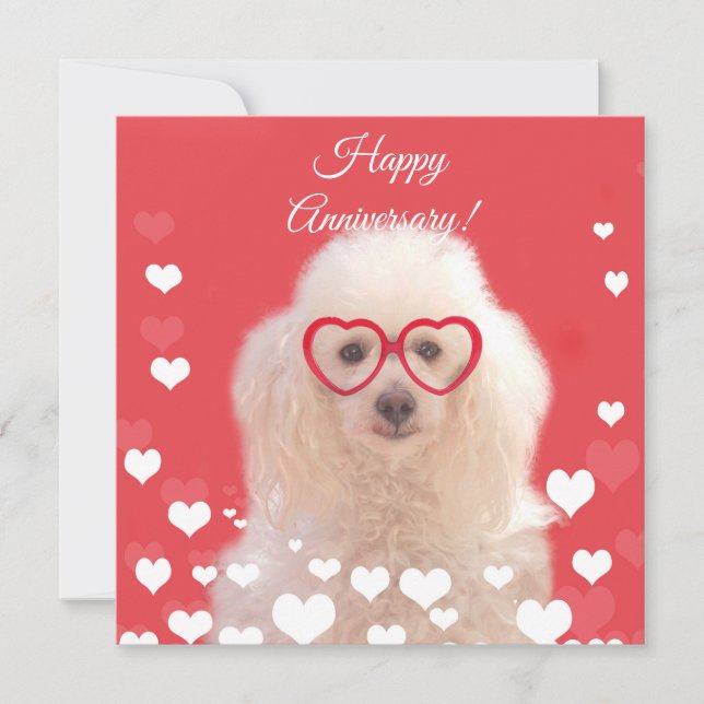 Happy Anniversary Poodle Hundescharte Karte (Vorderseite)