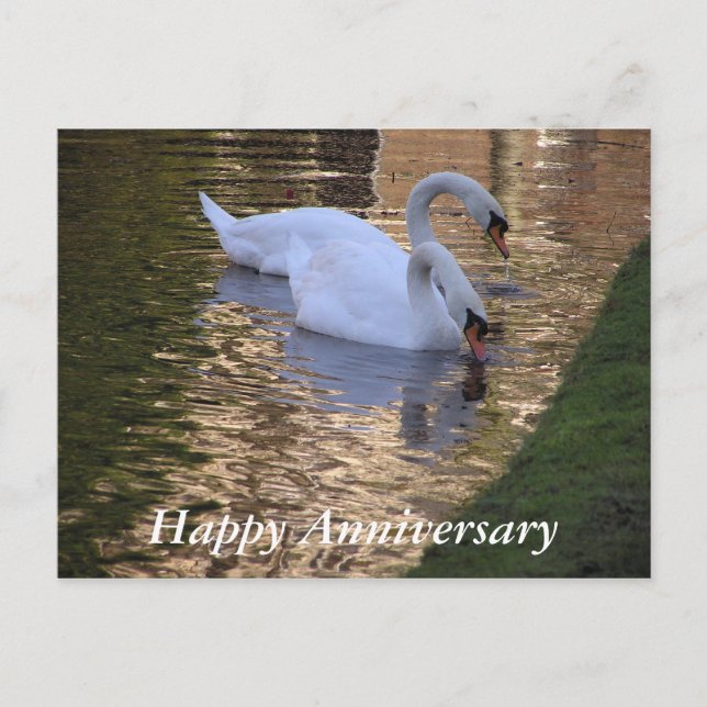 Happy Anniversary Postcard Postkarte (Vorderseite)