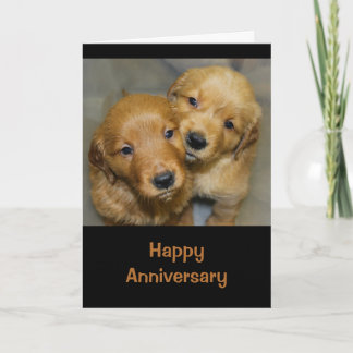 Happy Anniversary to a Dog Gone Niedlichen Karte