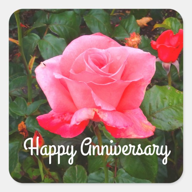 Happy Anniversary Touch der Class Rose #1 Stickers (Vorderseite)