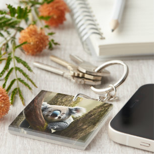 Happy australische Koala in Tree, Keyring Schlüsselanhänger