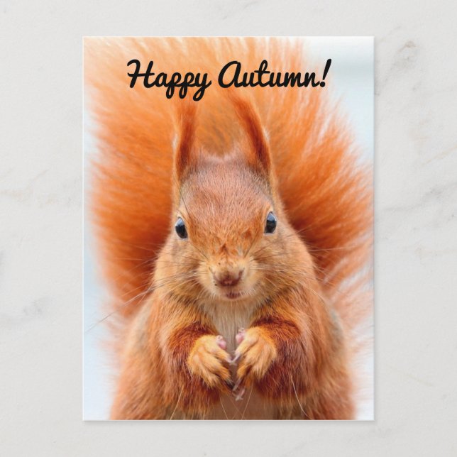Happy Autumn Squirrel Postkarte (Vorderseite)