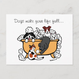Happy Bath Time Black Labrador Cartoon Postcard Postkarte