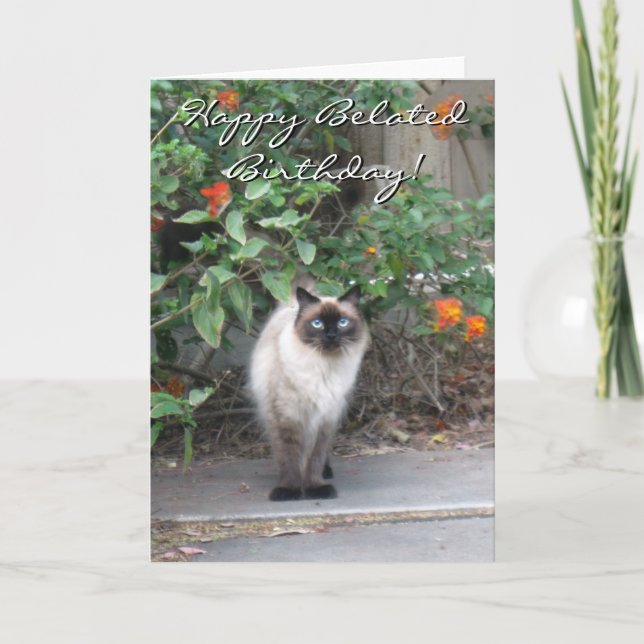 Happy Belated Birthday Himalayan Mix Cat Karte (Vorderseite)
