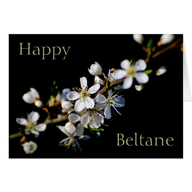 Happy Beltane (Frühlingsblüte) (Vorderseite (Horizontal))