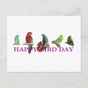 Happy Bird Day Postkarte