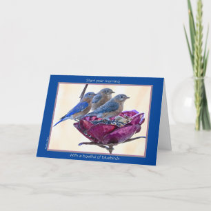 Happy BirdDay! Karte: Bowlful of bluebirds Card Karte