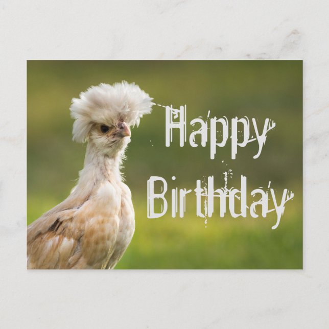 Happy BIrdday Polnisches Hühnchen Postkarte (Vorderseite)