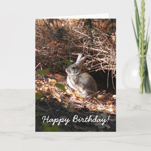 Happy Birhday Bunny Rabbit Grußkarte Karte (Vorderseite)