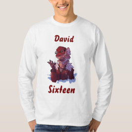 Happy Birthday 16 wolf, sweet 16 T-Shirt