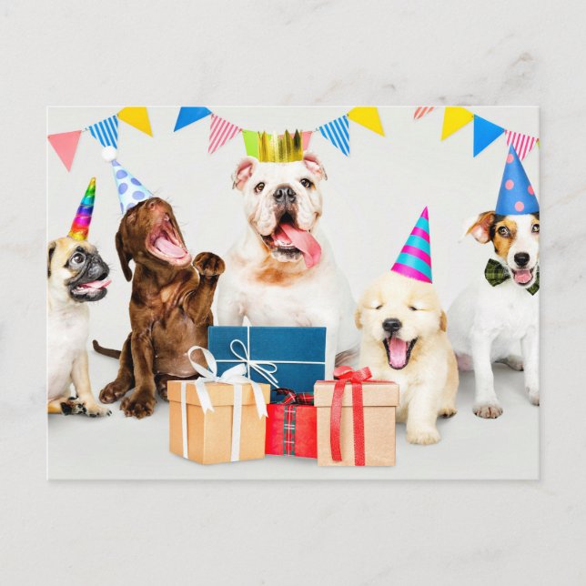 Happy Birthday Adorable Party Tiere Postkarte (Vorderseite)