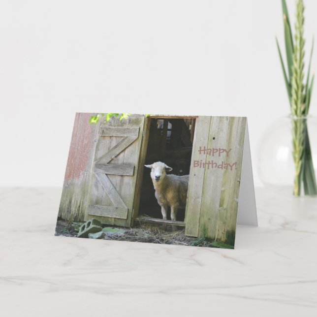 Happy Birthday Adorable Sheep Karte (Vorderseite)