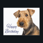 Happy Birthday Airedale Terrier Puppy Dog Blue Postkarte<br><div class="desc">Brighten Sie jemandes besonderen Tag mit diesem lustigen Airedale Terrier Welpenhund Happy Birthday Postkarte. Bitte scrollen Sie nach unten,  um weitere Hundeprodukte zu sehen,  die Sie genießen können.</div>