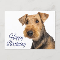 Happy Birthday Airedale Terrier Puppy Dog Blue