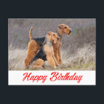 Happy Birthday Airedale Terrier Puppy Dog Red Postkarte<br><div class="desc">Brighten Sie jemandes besonderen Tag mit diesem lustigen Airedale Terrier Welpenhund Happy Birthday Postkarte. Bitte scrollen Sie nach unten,  um weitere Hundeprodukte zu sehen,  die Sie genießen können.</div>