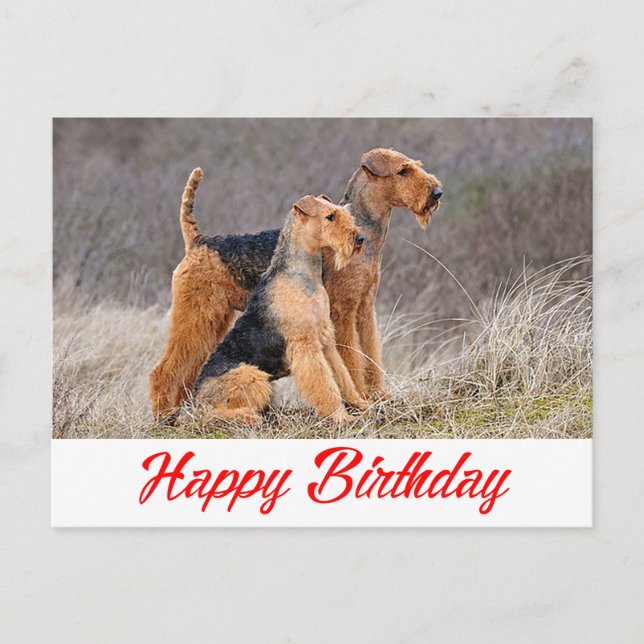 Happy Birthday Airedale Terrier Puppy Dog Red Postkarte (Vorderseite)