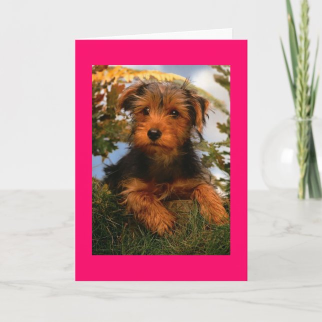 Happy Birthday Airedale Terrier Puppy Doppy Card Karte (Vorderseite)